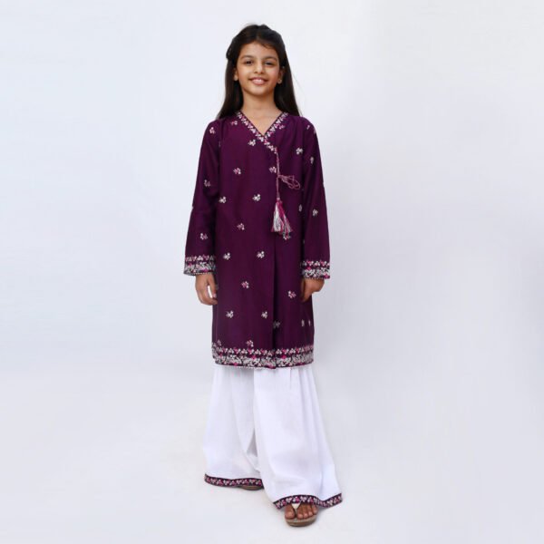 Angrakha Purple 2 Piece Embroidered Dress