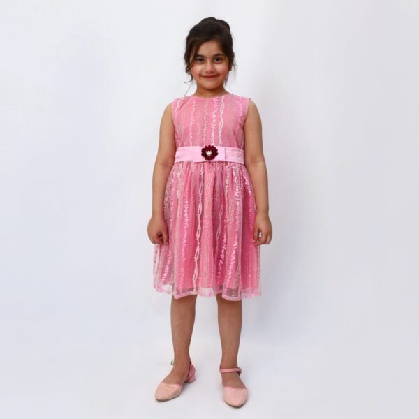 Pink Sparkle Fancy Dress