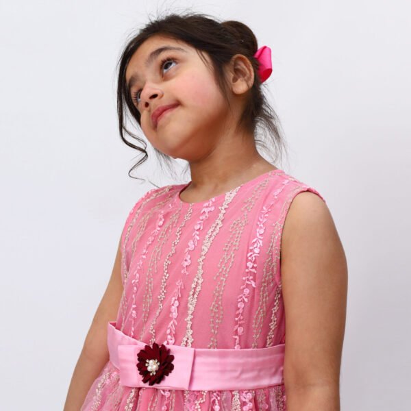 Pink Sparkle Fancy Dress - Image 2