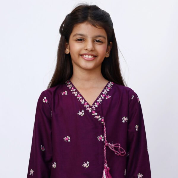 Angrakha Purple 2 Piece Embroidered Dress - Image 4