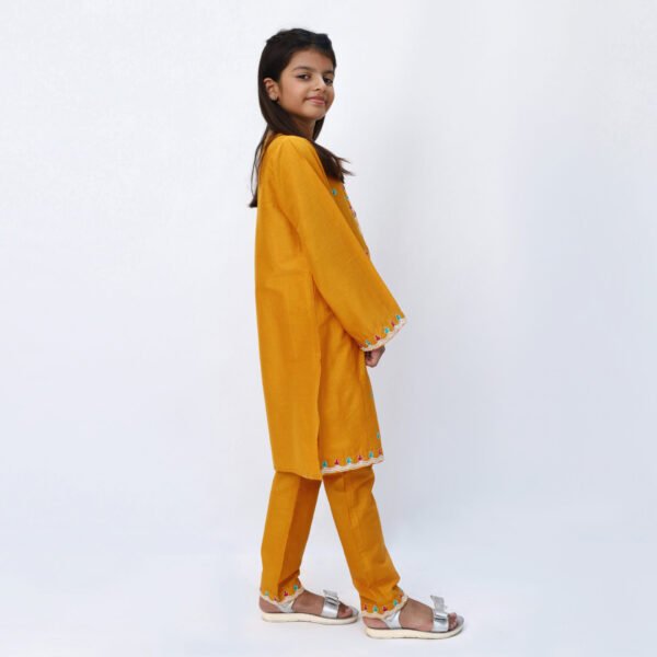 Marigold 2 Piece Embroidered Dress - Image 2