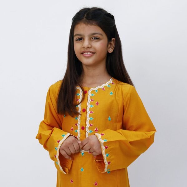 Marigold 2 Piece Embroidered Dress - Image 4
