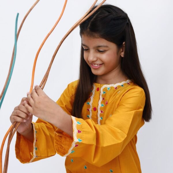 Marigold 2 Piece Embroidered Dress - Image 5