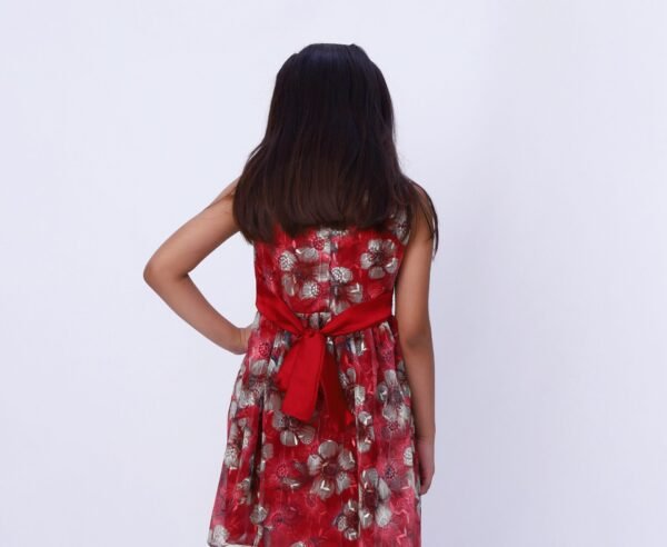 Scarlet Charm Fancy Dress - Image 2