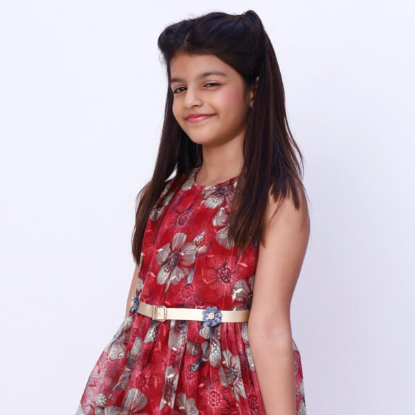 Scarlet Charm Fancy Dress