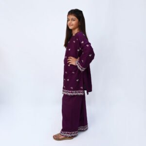 Plum Purple 2 Piece Embroidered Dress