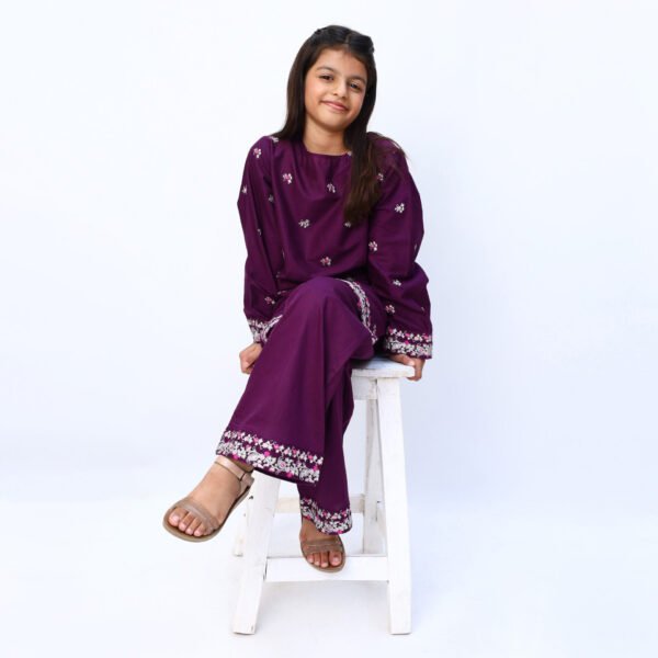 Plum Purple 2 Piece Embroidered Dress - Image 3