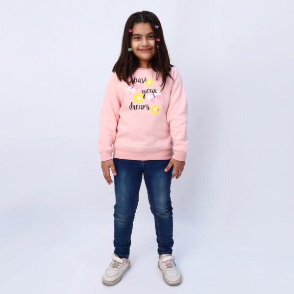Chase Your Dreams Sweatshirt