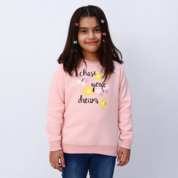 Chase Your Dreams Sweatshirt - Image 3