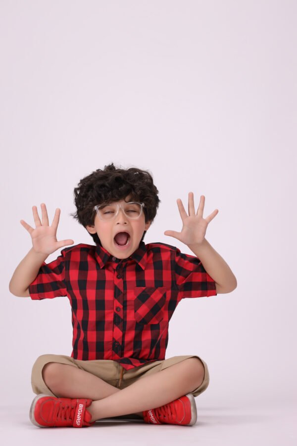 Timeless Red & Black Checkered Short-Sleeve Shirt for Kids - Image 6
