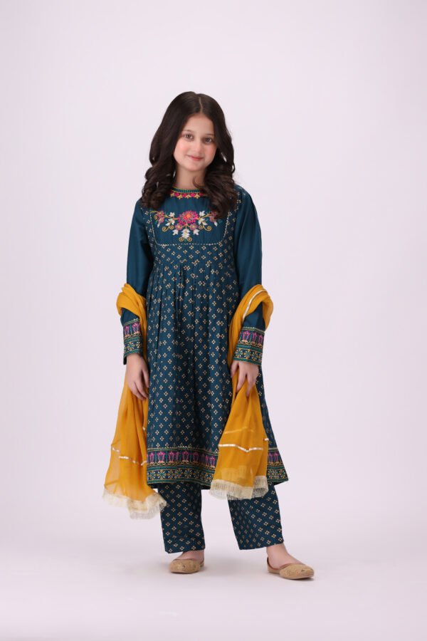 Zarish – 3 Piece Embroidered Dress for Kids: Royal Festive Elegance - Image 4