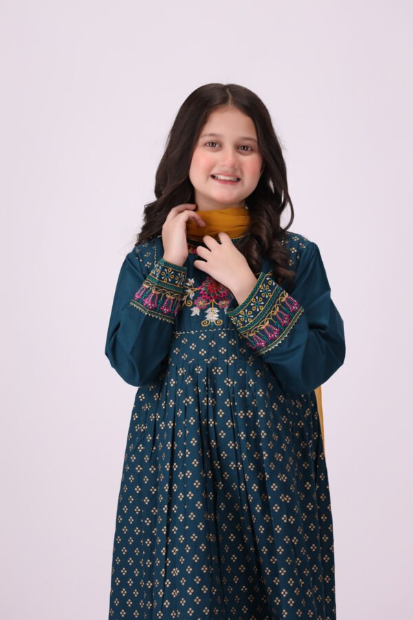 Zarish – 3 Piece Embroidered Dress for Kids: Royal Festive Elegance - Image 5