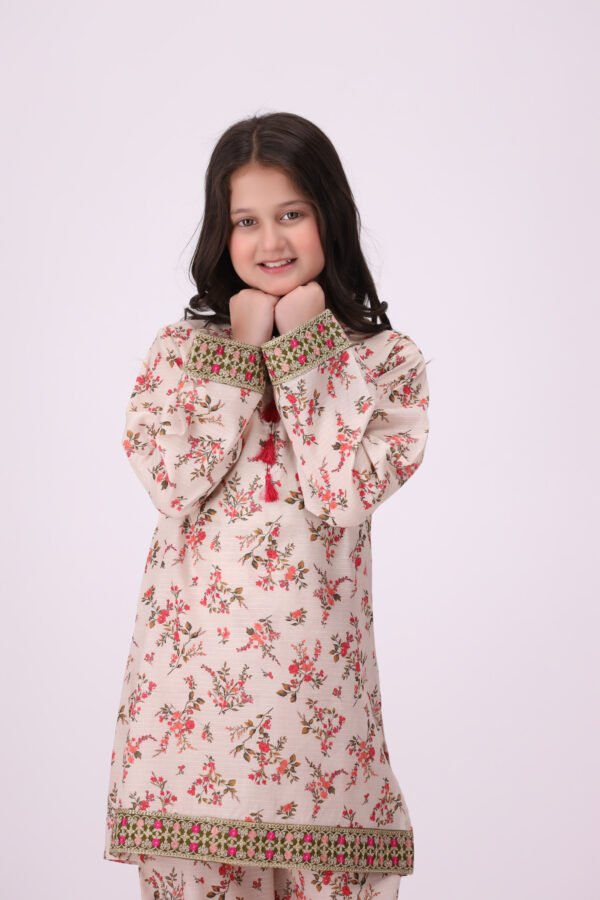 Aangan Phool – 2 Piece Embroidered Dress for Little Fashionistas - Image 3