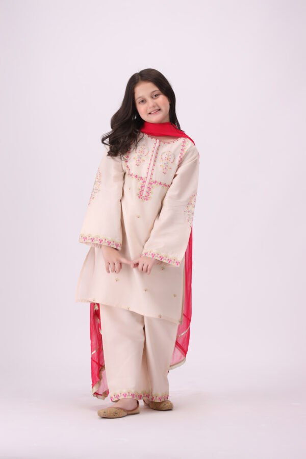 Nazneen – 3 Piece Embroidered Dress for Kids | Premium Festive Eastern Wear at Unbeatable Value - Image 6