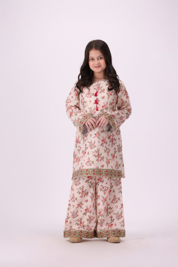 Aangan Phool – 2 Piece Embroidered Dress for Little Fashionistas - Image 2