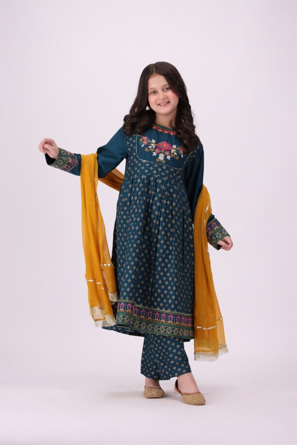 Embroidered Dress
