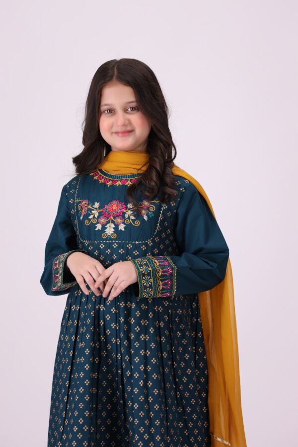 Zarish – 3 Piece Embroidered Dress for Kids: Royal Festive Elegance - Image 6