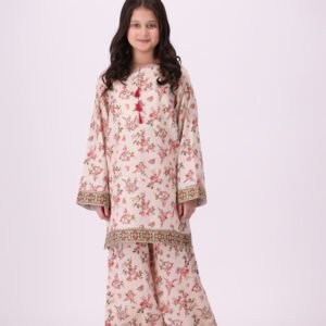 embroidered dress