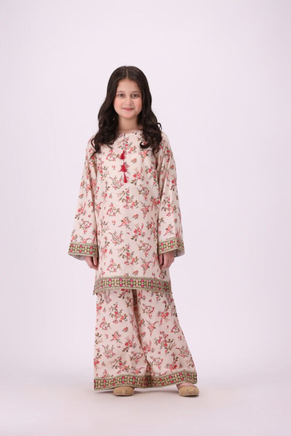 embroidered dress