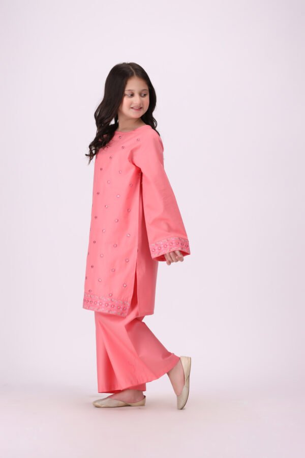 embroidered dress