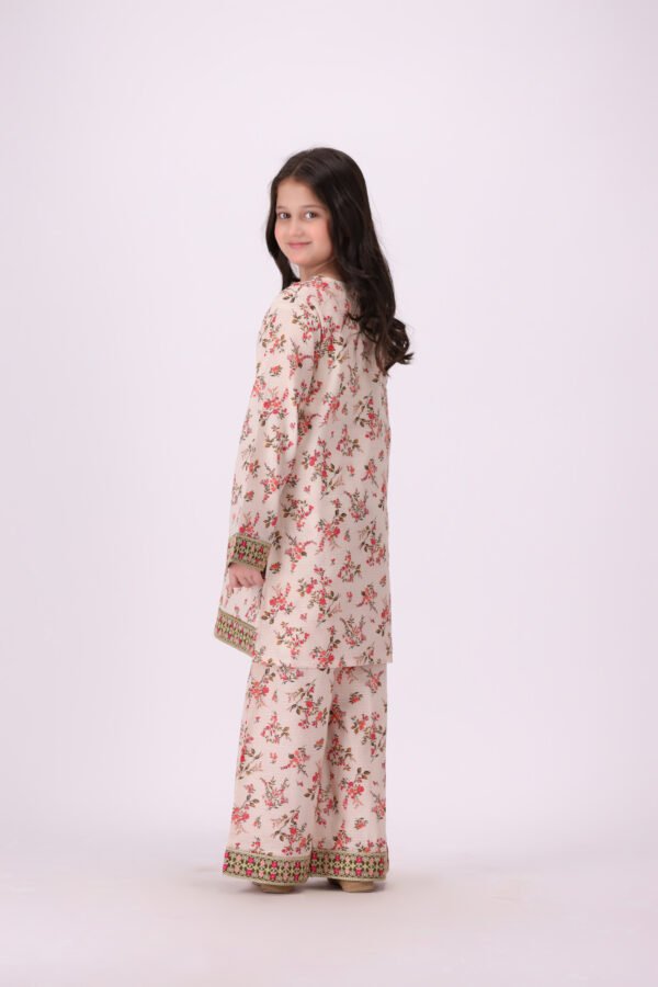 Aangan Phool – 2 Piece Embroidered Dress for Little Fashionistas - Image 5