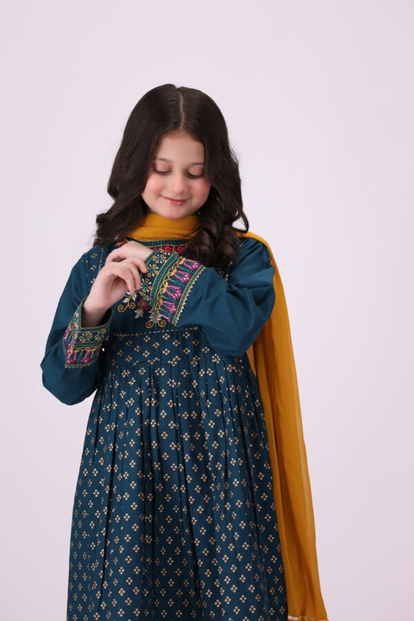 Zarish – 3 Piece Embroidered Dress for Kids: Royal Festive Elegance - Image 8