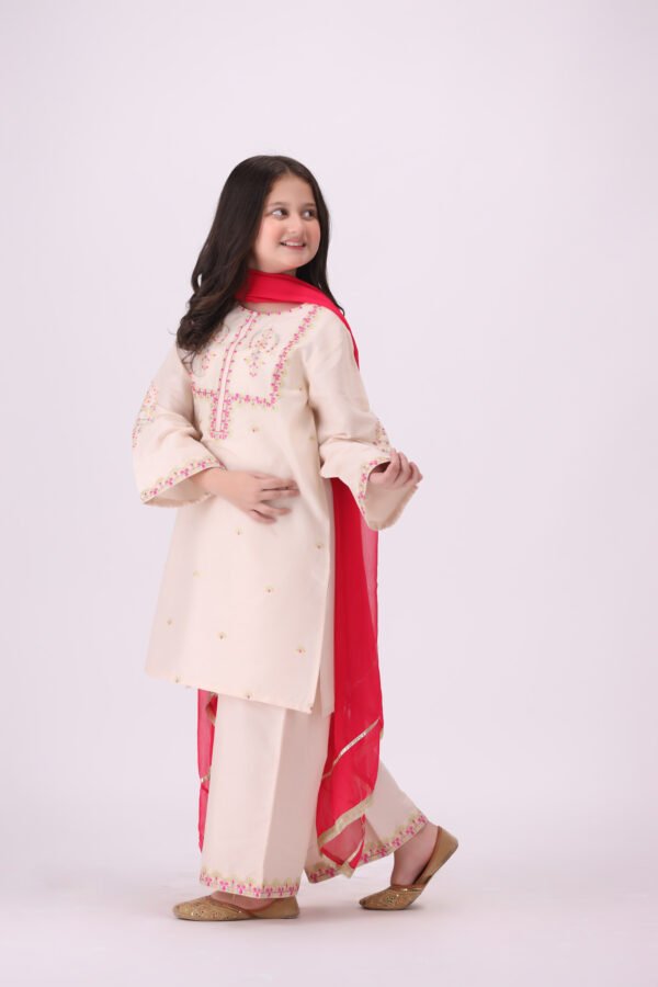 Nazneen – 3 Piece Embroidered Dress for Kids | Premium Festive Eastern Wear at Unbeatable Value - Image 3
